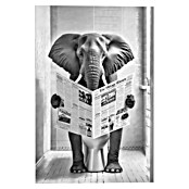 Reinders Glasbild Elephant Toilet (Elephant Toilet, B x H: 60 x 90 cm) | BAUHAUS