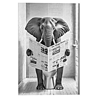 Reinders Glasbild Elephant Toilet (Elephant Toilet, B x H: 60 x 90 cm)