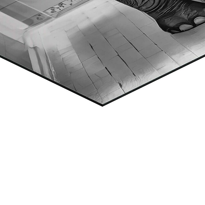 Reinders Glasbild Elephant Toilet (Elephant Toilet, B x H: 60 x 90 cm) | BAUHAUS