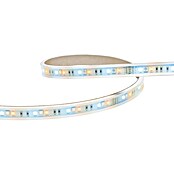 Homematic IP Tiras de LED (Largo: 2 m, RGBW, 24 W) | BAUHAUS