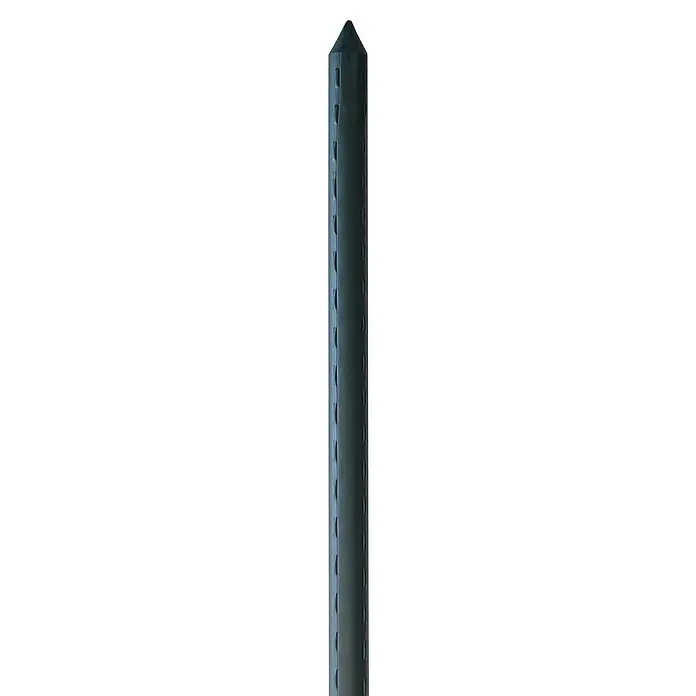 Bellissa Pflanzenstab -  x L: 1,6 x 210 cm, Stahl online kaufen bei BAUHAUS