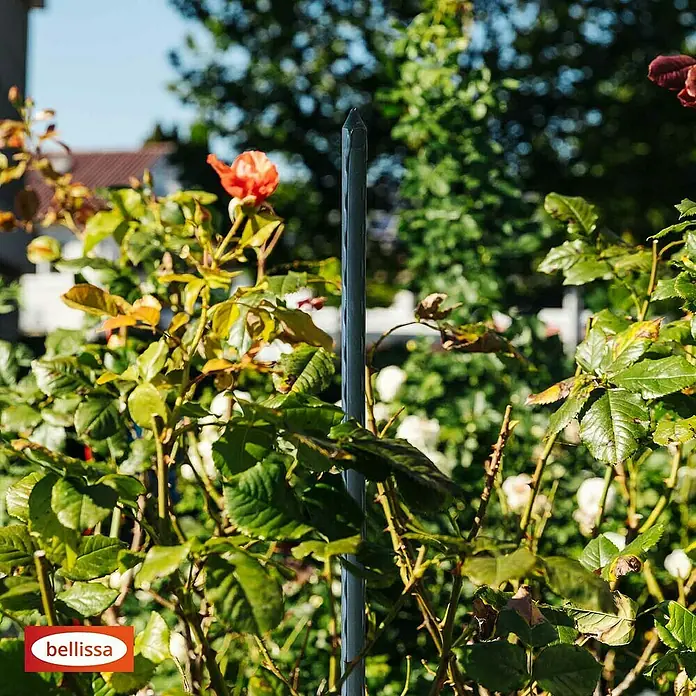 pflanztpfe 40x40 CUBICO ALTO Pflanzgef, 40x40/105 cm, taupe  Kingplanters