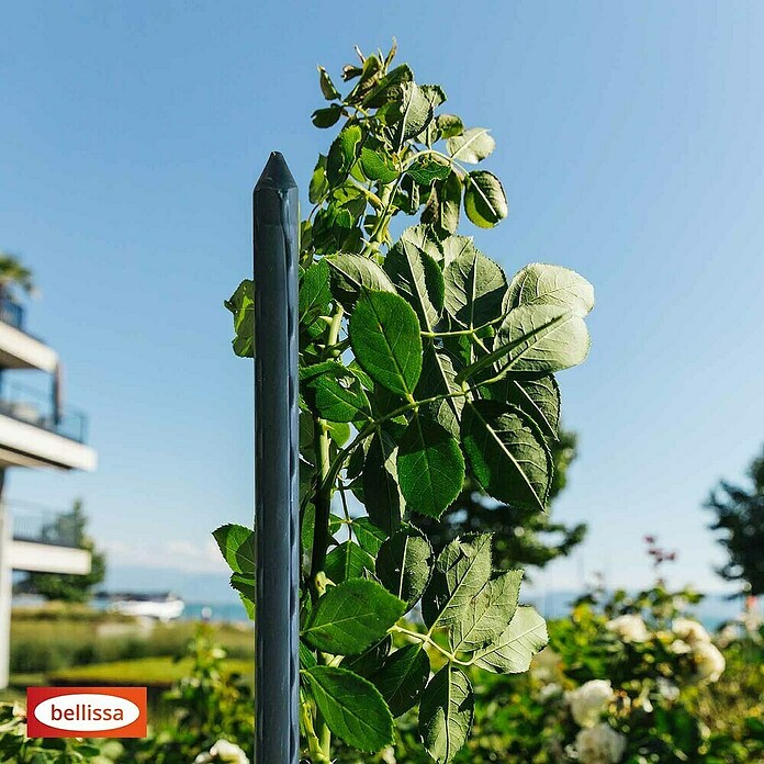 Bellissa Štap za biljke (Duljina: 600 mm, Promjer: 8 mm, Metal)