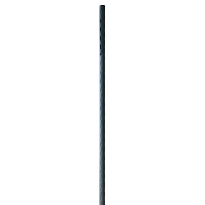 Bellissa Pflanzenstab - Ø x L: 0,8 x 90 cm, Stahl - Seitenansicht eines eleganten Smartphones mit schlankem Design und Metallrahmen. Das Gerät wirkt modern und hochwertig.