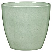 Scheurich Übertopf 920 (Spirit Mint, Keramik, Außenmaß (Ø x H): 17 x 17 cm) | BAUHAUS