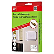 Swissinno Zamka za kuhinjske moljce Natural Control 2X  (2 Kom.) | BAUHAUS