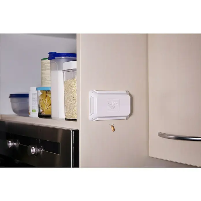 Swissinno Trampa para polillas - 2 ud. - Una caja trampa de Swissinno en una pared de cocina beige con una polilla debajo. El producto ofrece una solución contra las infestaciones de polillas.