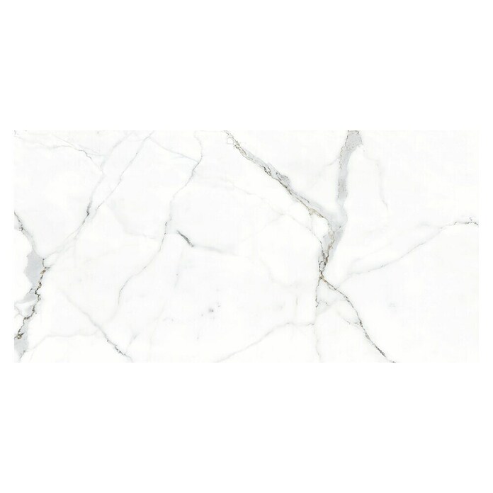 Feinsteinzeugfliese Rock Ford (L x B x S: 60 x 120 x 0,8 cm, Weiß/Grau, Glänzend) | BAUHAUS