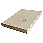 Sperrholzplatte Fixmaß BB/BB (Birke, L x B x S: 1 200 x 600 x 15 mm) | BAUHAUS