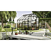 Vitavia Gewächshaus Uranus 6700 (2,58 x 2,57 x 2,46 m, Farbe: Schwarz, Einscheibensicherheitsglas (ESG), 3 mm)