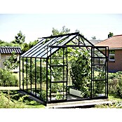 Vitavia Gewächshaus (3,83 x 2,57 x 2,46 m, Farbe: Schwarz, Einscheibensicherheitsglas (ESG), 3 mm)
