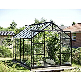 Vitavia Gewächshaus Uranus 9900 (Außenmaß inkl. Dachüberstand (B x T): 257 x 383 cm, 3 mm, Schwarz)