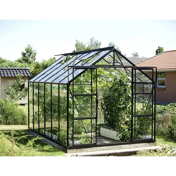 Vitavia Gewächshaus Uranus 9900 - Außenmaß inkl. Dachüberstand (B x T): 257 x 383 cm, 3 mm, Schwarz - Ein geräumiges Gewächshaus mit schwarzen Rahmen und Glaswänden beherbergt eine üppige Auswahl an Pflanzen und bietet einen idealen Raum für Gartenliebhaber.