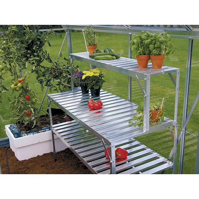 Vitavia Gewächshaus Zeus 8100 Plus - Außenmaß inkl. Dachüberstand (B x T): 256 x 314 cm, 10 mm, Aluminium - Ein vielseitiges dreistufiges Pflanzregal aus Aluminium in einem Gewächshaus mit Pflanzen wie Tomaten, Kräutern und Blumen.