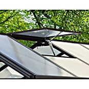 Vitavia Gewächshaus (3,14 x 2,56 x 2,5 m, Farbe: Schwarz, Polycarbonat, 10 mm)