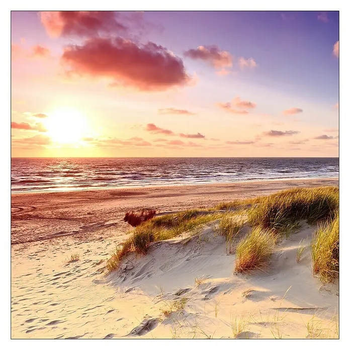 ProArt Maritime Glasbild - Sea Harmony, 50 x 50 cm, Glas - Malerischer Sonnenuntergang am Strand mit Dünen, das sanfte Licht taucht die Szene in warme Farbtöne und erzeugt eine friedliche Atmosphäre.