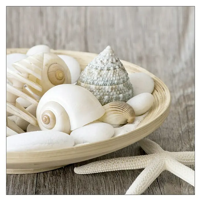 Glasbild - Decoration I, B x H: 20 x 20 cm - Nahaufnahme einer Schale mit Muscheln und Steinen, die eine ruhige und entspannende Atmosphäre vermitteln.