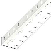 Kantoflex Winkelprofil (1.000 x 35,5 x 65,6 mm, Stärke: 1,5 mm, Stahl, Weiß, Gelocht)