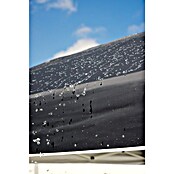 Carpa plegable Deluxe Pop Up (An x Pr: 300 x 300 cm, Gris) | BAUHAUS