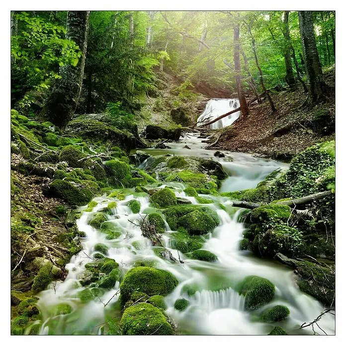 Glasbild - Mystic Ways, B x H: 50 x 50 cm - Idyllische Waldlandschaft mit einem sanften Wasserfall, umgeben von üppigem Grün und moosbedeckten Steinen.