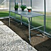 Vitavia Gewächshaus (5,38 x 2,56 x 2,5 m, Farbe: Aluminium, Einscheibensicherheitsglas (ESG), 3 mm)