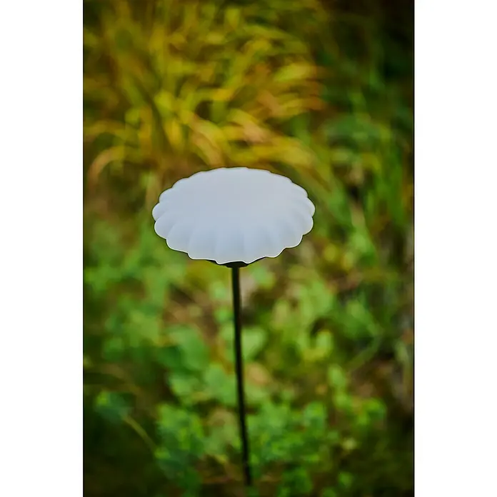 Lumix Solarleuchte Sunny - Lichtfarbe: RGB, Höhe: 100 cm, Sunny - Nahaufnahme einer dekorativen Gartenleuchte in Form einer weißen Blume mit filigranem Lampenschirm vor grünem Hintergrund.