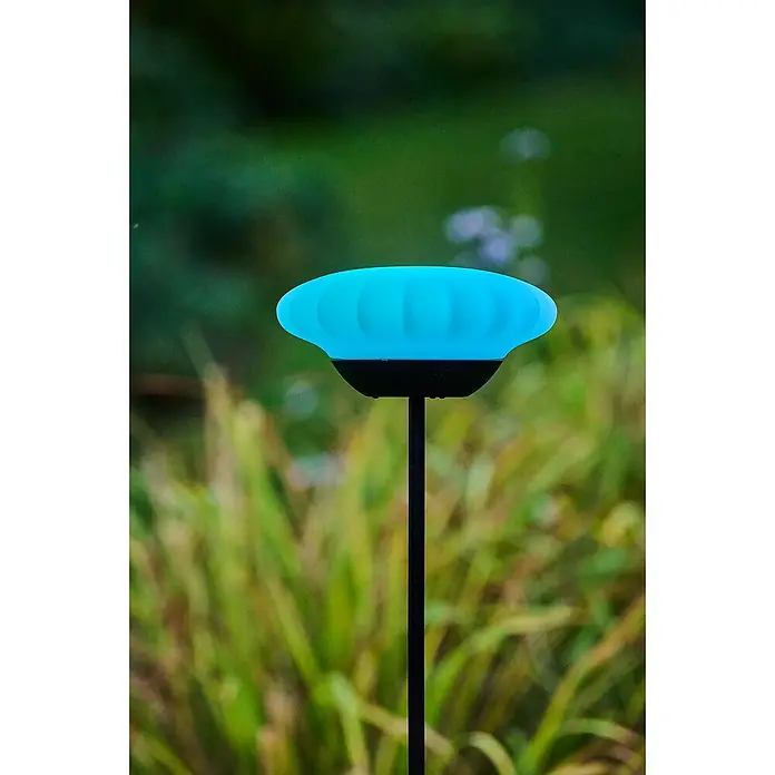 Lumix Solarleuchte Sunny - Lichtfarbe: RGB, Höhe: 100 cm, Sunny - Nahaufnahme einer blauen Gartenleuchte auf einem schlanken schwarzen Stab, die im diffusen Licht zwischen grünen Pflanzen steht.