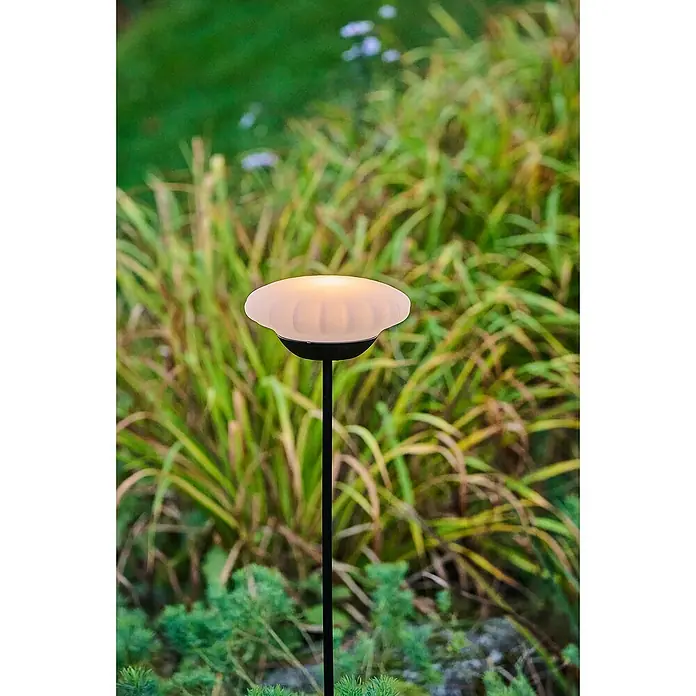 Lumix Solarleuchte Sunny - Lichtfarbe: RGB, Höhe: 100 cm, Sunny - Gartenleuchte mit einem Pilzförmigen Lampenschirm, der ein warmes Licht ausstrahlt, auf einem schlanken schwarzen Stiel inmitten eines üppigen Gartens.