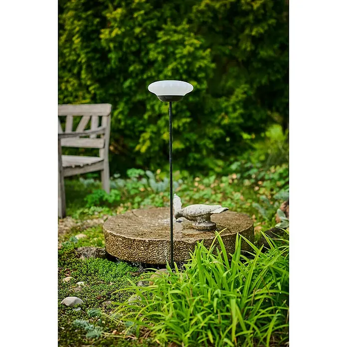 Lumix Solarleuchte Sunny - Lichtfarbe: RGB, Höhe: 100 cm, Sunny - Gartenansicht mit einer Vogeltränke auf einem Sockel, umgeben von Grünpflanzen und Moos. Eine Bank steht im Hintergrund.