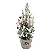Piardino Zuckerhut-Fichte (Topfgröße: 17 cm, Botanische Bezeichnung: Picea glauce conica) | BAUHAUS