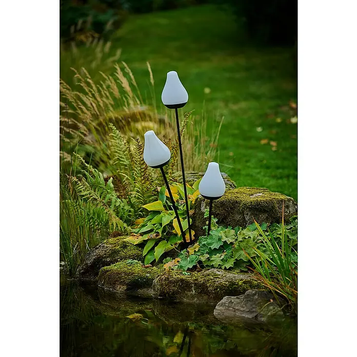 Lumix Solarleuchte Tulip - Lichtfarbe: RGB, Höhe: 100 cm, Tulip - Dekorative Gartenleuchten in Tropfenform mit schwarzen Stäben, die eine gemütliche Atmosphäre in einem üppigen Garten schaffen. Perfekt für stimmungsvolle Beleuchtung.