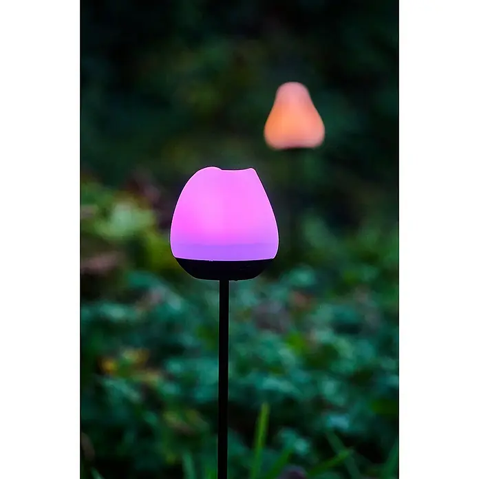 Lumix Solarleuchte Rosy - Lichtfarbe: RGB, Höhe: 100 cm, Rosy - Gartenleuchten in Tulpenform: Eine pinke Lampe im Vordergrund, eine orangefarbene im Hintergrund, die eine warme Atmosphäre erzeugen.