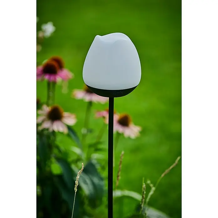 Lumix Solarleuchte Rosy - Lichtfarbe: RGB, Höhe: 100 cm, Rosy - Eine Nahaufnahme einer Lumiz-Gartenleuchte, die zwischen bunten Blumen und grünen Gräsern steht und eine gemütliche Atmosphäre erzeugt.