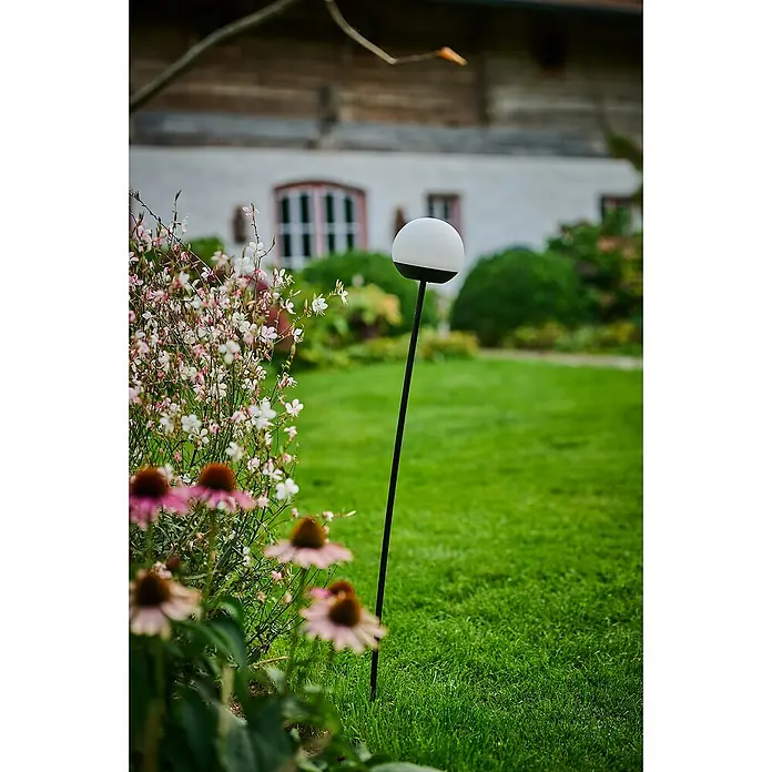 Lumix Solarleuchte Pompom - Lichtfarbe: RGB, Höhe: 100 cm, Pompom - Gartenansicht mit einer kugelförmigen Gartenleuchte, die einen subtilen Akzent inmitten von Blumen und gepflegtem Grün setzt.