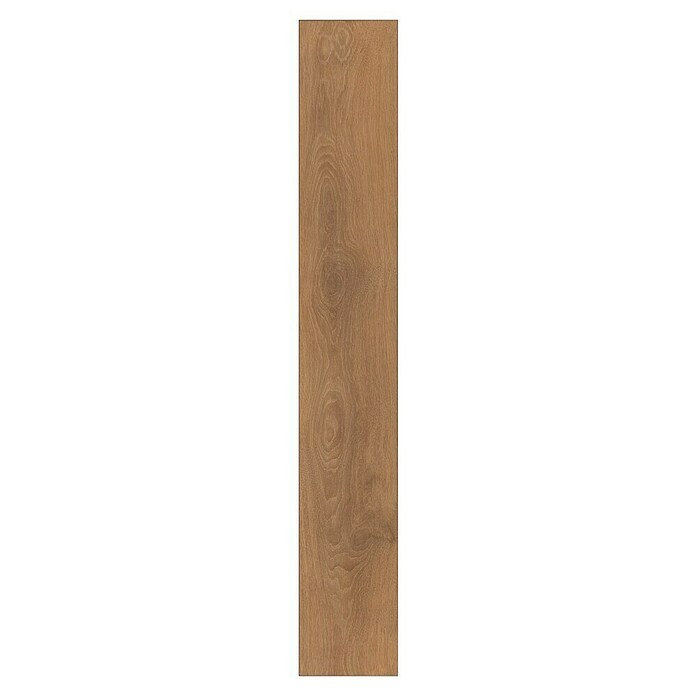 LOGOCLIC Ambienta Laminat Eiche Corno (Eiche Corno, Landhausdiele, 1 288 x 195 x 10 mm) | BAUHAUS