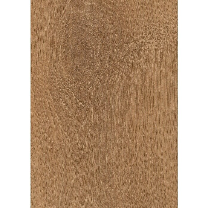 LOGOCLIC Ambienta Laminat Eiche Corno (Eiche Corno, Landhausdiele, 1 288 x 195 x 10 mm) | BAUHAUS