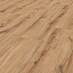 Sunset Oak