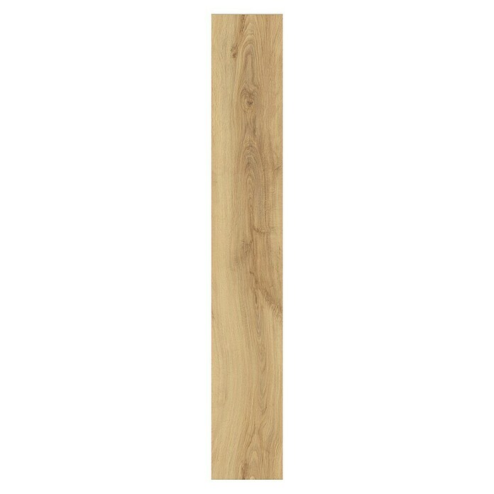 LOGOCLIC Ambienta Laminat Honig Eiche (Honig Eiche, Landhausdiele, 1 288 x 195 x 10 mm) | BAUHAUS