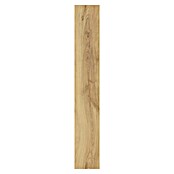 LOGOCLIC Ambienta Laminat Honig Eiche (Honig Eiche, Landhausdiele, 1 288 x 195 x 10 mm) | BAUHAUS