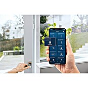 Bosch Smart Home Funk-Fensterkontakt II [+M] Matter (Weiß, Batteriebetrieben, 23 x 22 x 75 mm, 1 Stk.) | BAUHAUS