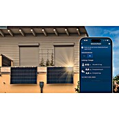 Bosch Smart Home Smart-Steckdose Kompakt [+M] Matter (Innen, IP20, Weiß, 3 680 W, 1 Stk.) | BAUHAUS