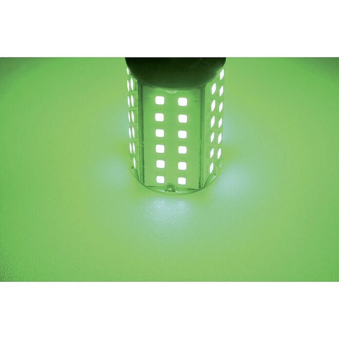 Talamex Led-navigatielamp voor boten (4,8 W, 10 V - 30 V, Lichtkleur: Groen)