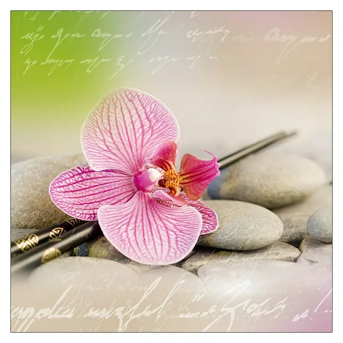 Leinwandbild Young Living - Positiv Energy I, B x H: 30 x 30 cm - Nahaufnahme einer pinkfarbenen Orchidee auf Steinen, begleitet von stilvollen Stäbchen, die eine ruhige und entspannende Atmosphäre erzeugen.