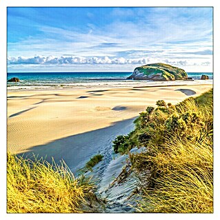 ProArt Leinwandbild Konventionel (Exotic Beach, B x H: 40 x 40 cm)
