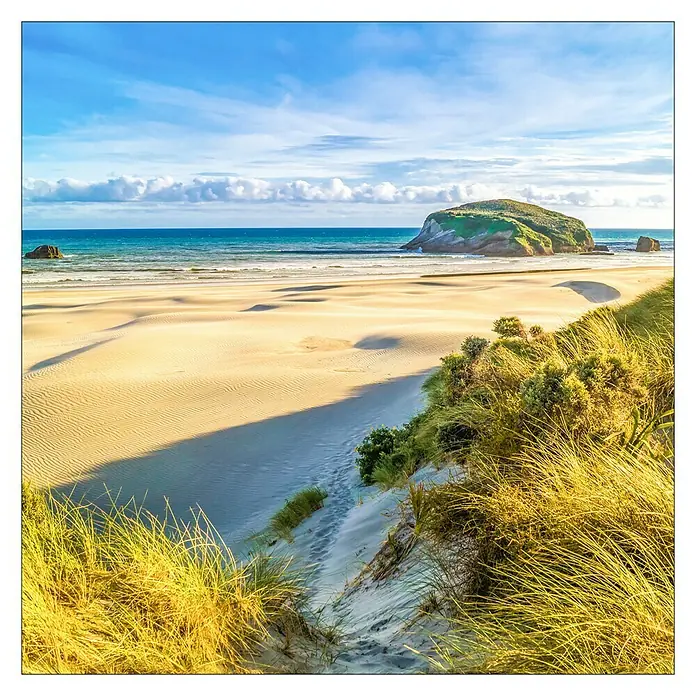 ProArt Leinwandbild Konventionel - Exotic Beach, B x H: 40 x 40 cm - Küstenlandschaft mit Sanddünen, blauem Himmel und ruhigem Meer. Ein friedlicher und malerischer Küstenblick, der die natürliche Schönheit hervorhebt.
