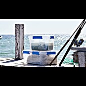 Aufbewahrungsbox Wasserdicht (L x B x H: 57,8 x 38,2 x 31,8 cm, Kunststoff, Transparent) | BAUHAUS