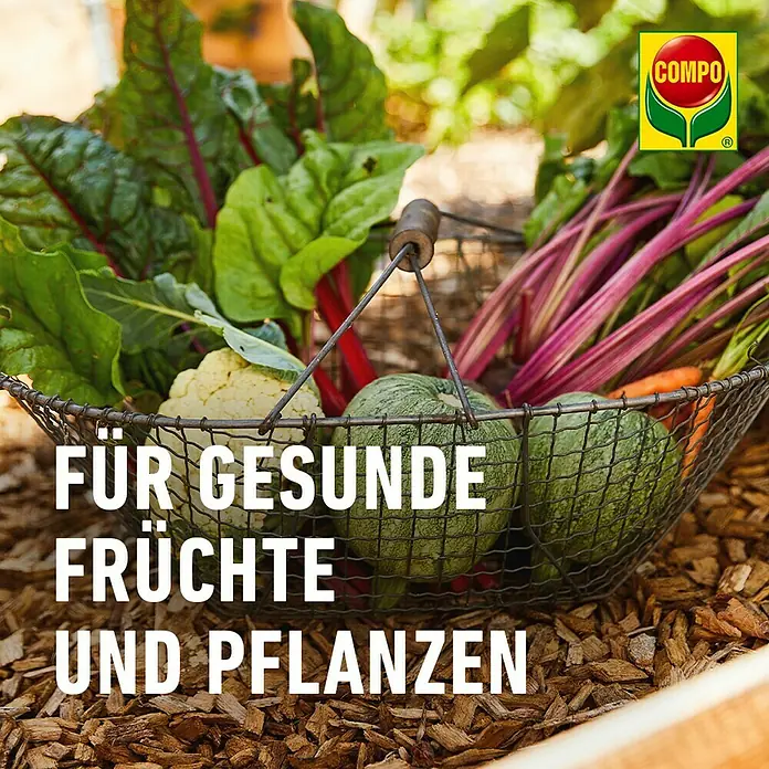Compo Bio Blumenerde - 40 l - Eine Nahaufnahme eines Korbes voller frischem Gemüse, mit dem COMPO Logo in der Ecke.