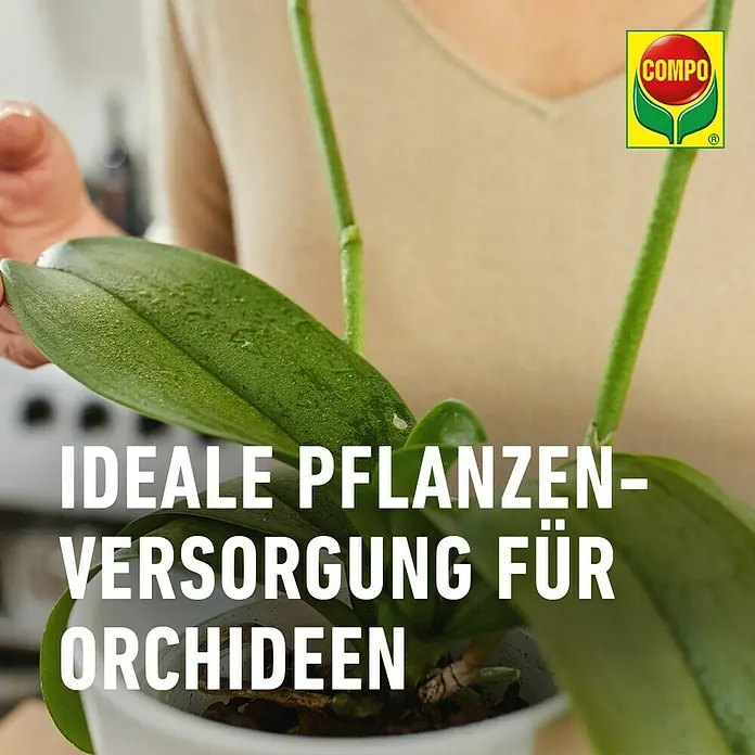 Compo Orchideendünger Orchideen - 20 Stk. - COMPO Pflanzenpflege für Orchideen: Optimale Versorgung für gesunde und prächtige Orchideen.