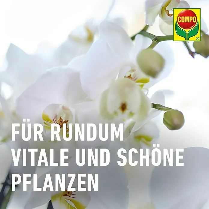 Compo Orchideendünger Orchideen - 20 Stk. - Nahaufnahme von weißen Orchideenblüten mit dem Compo-Logo, das für vitale und schöne Pflanzen steht.