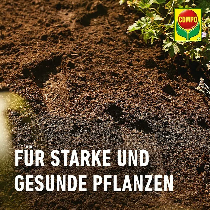 Compo Blumenerde - 70 l - COMPO Blumenerde für starkes Wachstum und gesunde Pflanzen, ideal für Garten und Balkon.